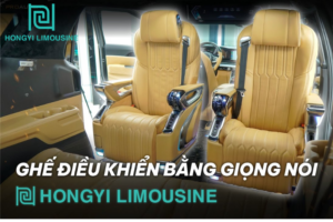 Ghế Hongyi Limousine điều khiển giọng nói bằng tiếng Việt duy nhất tại Việt Nam